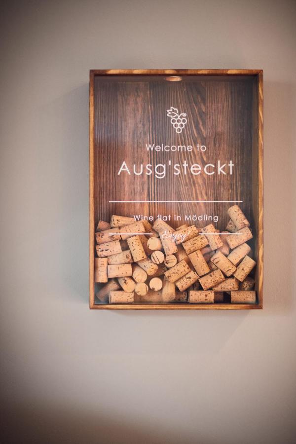 Ausg'Steckt - Wine Flat Moedling - Great Location Modling Exterior photo
